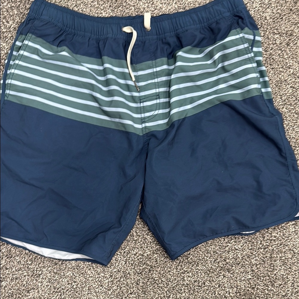 Men's Blue Striped Swim Shorts